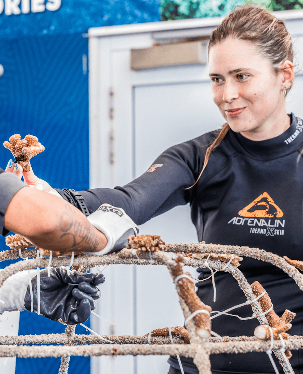 Bex - Marine Biologist