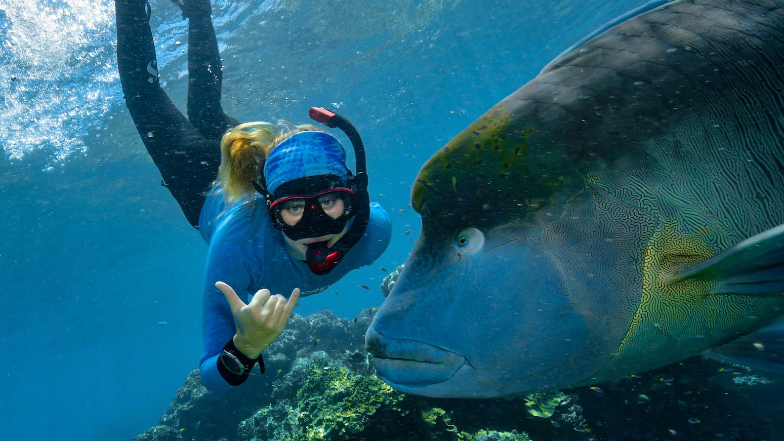 Bex snorkelling with Wally the Moore Reef SuperStar